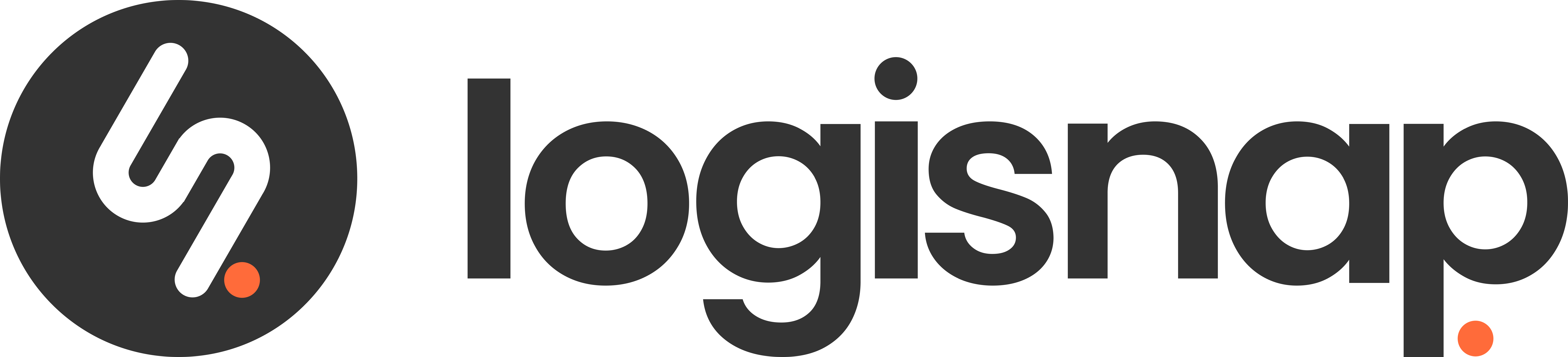 LogiSnap logo - black.png